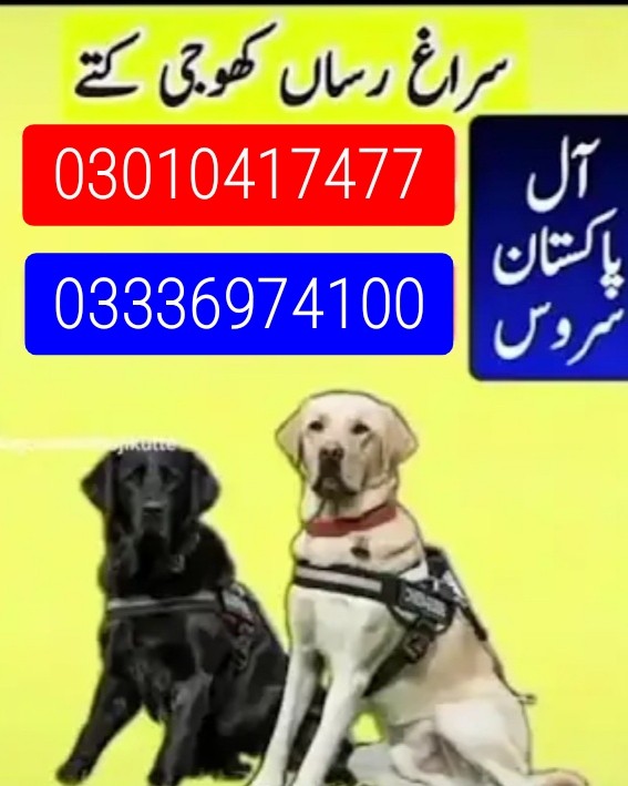 Army dog center pakistan 03010417477_03336974100