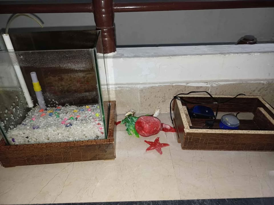 Mid Size Fish tank almost new
